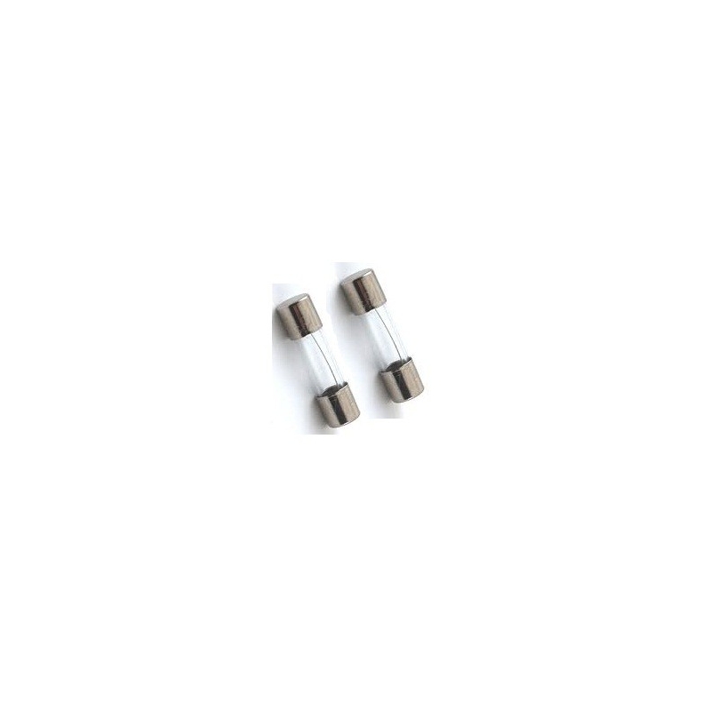 FUSIVEL - T RETARDO 5X20MM-    0,4A