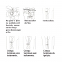 TRAMONTINA - ALICATE DESCASCADOR MOD. 44051/108-