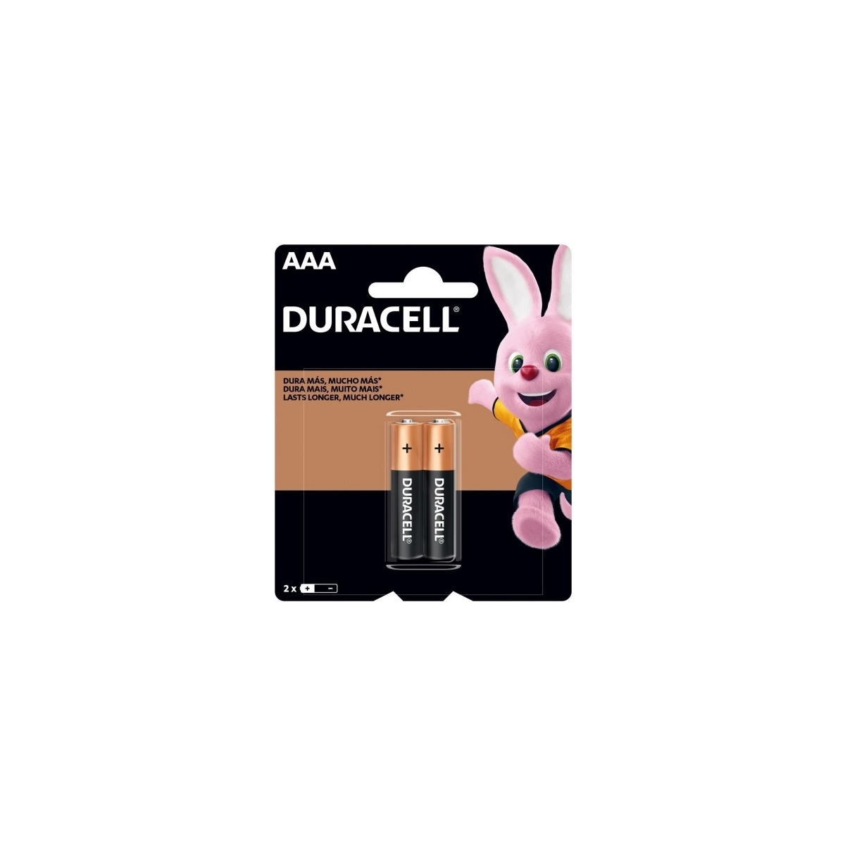 BATERIA ALCALINA DURACELL AAA - PALITO CART. C/02 